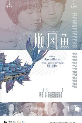 91视频老司机