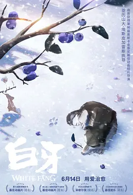 欧美日韩精品高清一区二区