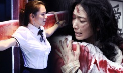 国外免费精品视频在线观看