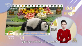 免费尻大好影院